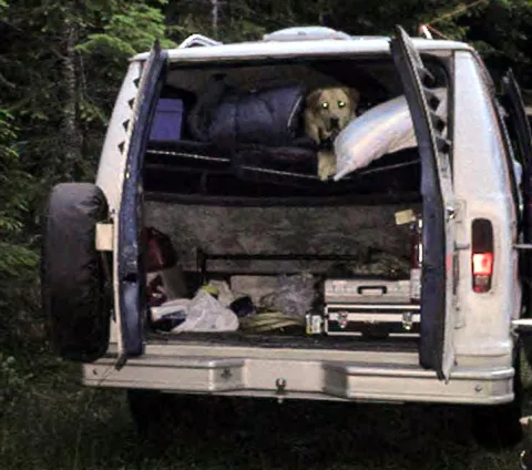 Banjo van