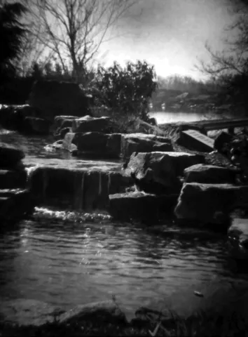 pond
